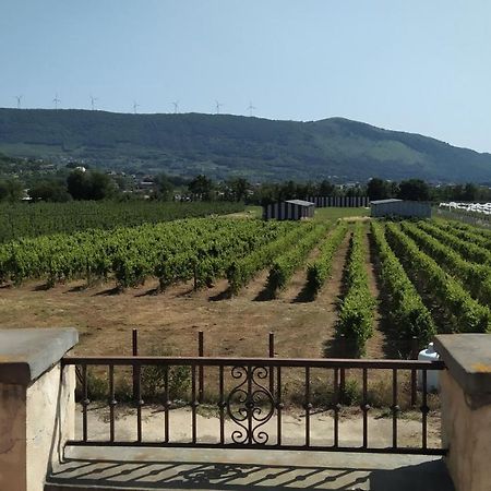 Agriturismo Il Casale Del Cavaliere SantʼAgata deʼ Goti Extérieur photo