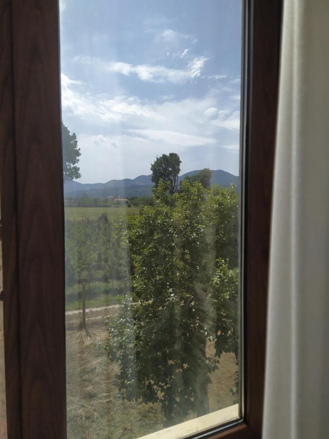 Agriturismo Il Casale Del Cavaliere SantʼAgata deʼ Goti Extérieur photo